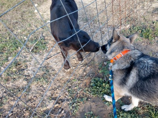 IMG_20211101_163354790_HDR.jpg IMG_20211101_163354790_HDR.jpg