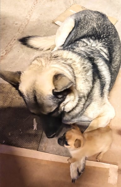 IMG_20220415_222232313~2.jpg IMG_20220415_222232313~2.jpg