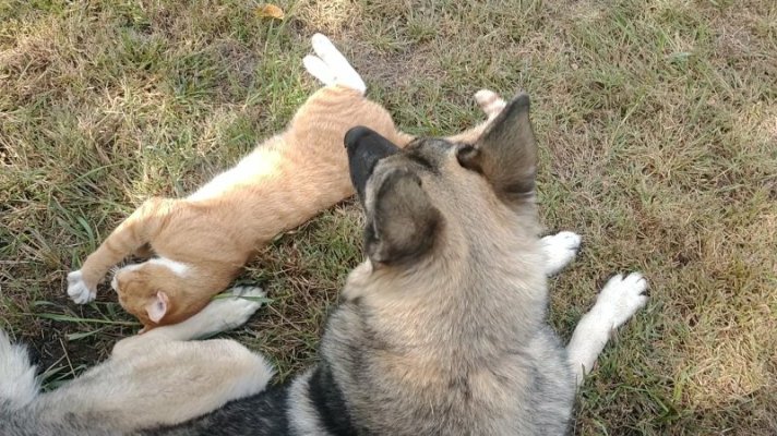 VID_20230918_144142282_exported_4918.jpg VID_20230918_144142282_exported_4918.jpg