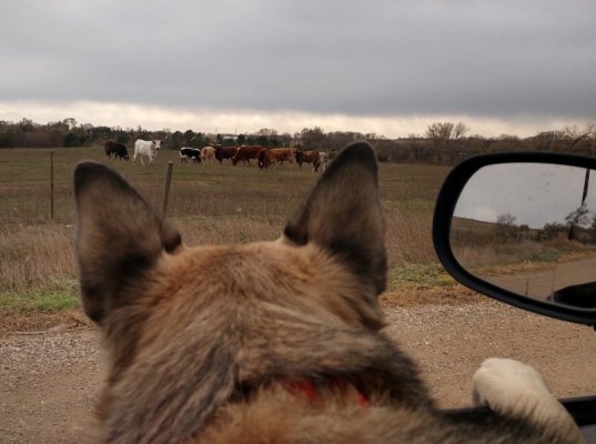 IMG_20211111_132849598_HDR~2.jpg IMG_20211111_132849598_HDR~2.jpg