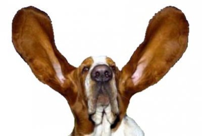 ears.jpg