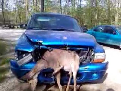 hqdefault.jpg hqdefault.jpg