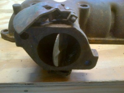 exhaust manifold.jpg