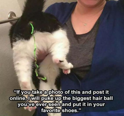 1703956583567.png