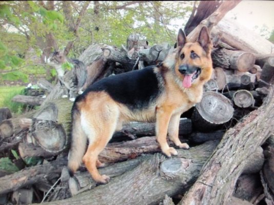 IMG_20181008_215944560.jpg IMG_20181008_215944560.jpg