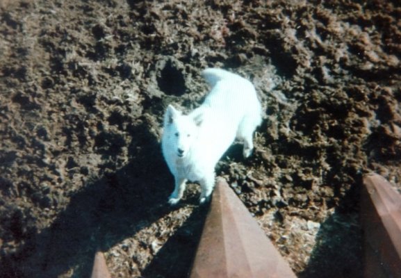 IMG_20231115_124754896~2.jpg IMG_20231115_124754896~2.jpg