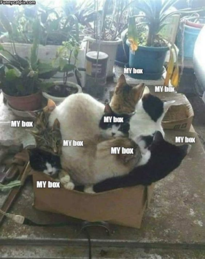 1703956996877.png