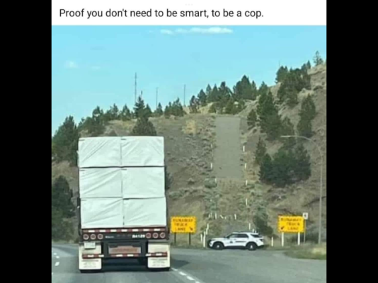 7B2E8B7F-7434-447B-AA6D-EE4BDB79957C.png