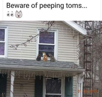 1704046503656.png