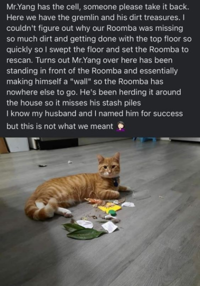 1704046753678.png