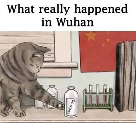1704135989343.png