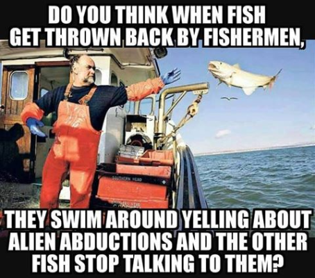 1704141794053.png
