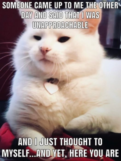 1704319031677.png