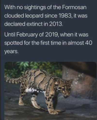1704478354715.png