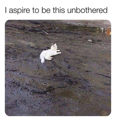 1704564942753.png