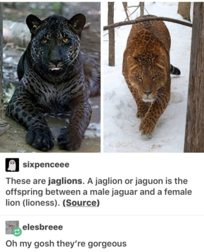 1704565221044.png