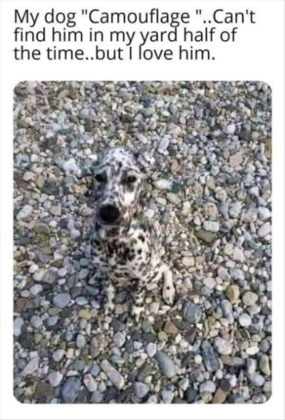 1704573739472.png