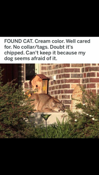 1704573931996.png