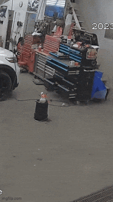 m1.gif