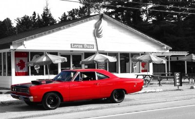 Roadrunner with flag.jpg