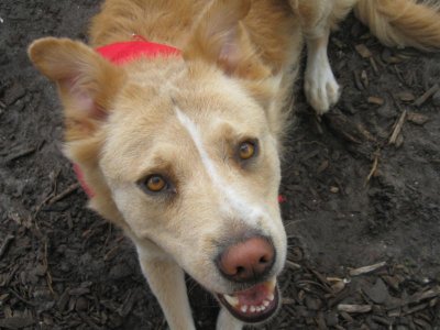 Picture 168.jpg Picture 168.jpg