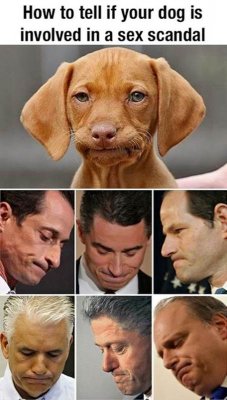 sexscandal.jpg