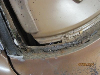 IMG_1243.jpg IMG_1243.jpg