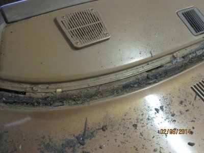 IMG_1241.jpg IMG_1241.jpg