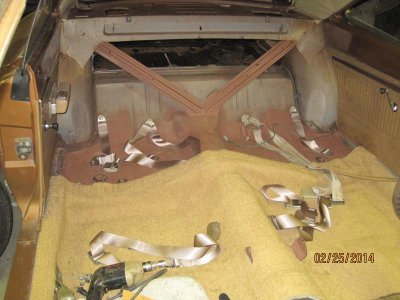 IMG_1337.jpg IMG_1337.jpg