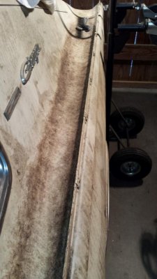 20140706_081141 (Large).jpg