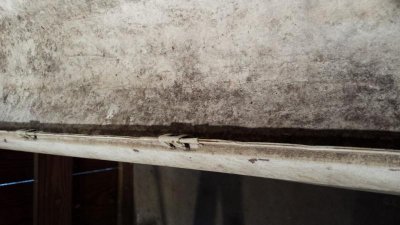 20140706_081226 (Large).jpg