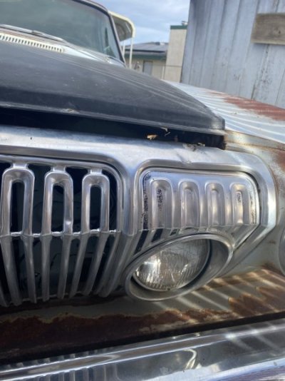 IMG_9665.jpeg IMG_9665.jpeg