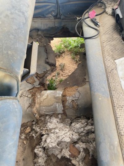 IMG_9668.jpeg IMG_9668.jpeg