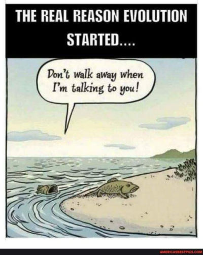 1706396656929.png