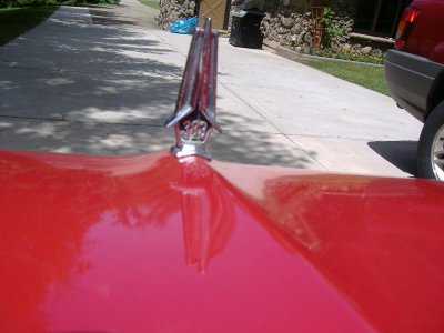 007.jpg 007.jpg