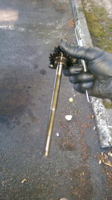 IMAG0067.jpg IMAG0067.jpg