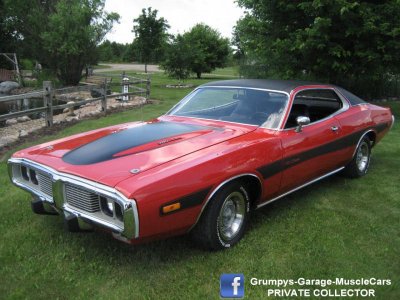 Copy of IMG_1098.jpg