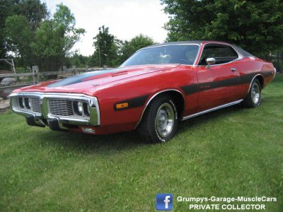 Copy of IMG_1099.jpg