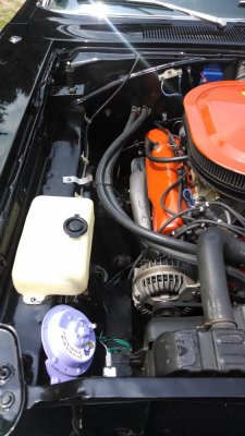 IMG_20140712_121747128.jpg IMG_20140712_121747128.jpg