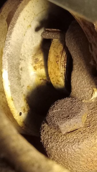 20240203_144203.jpg 20240203_144203.jpg