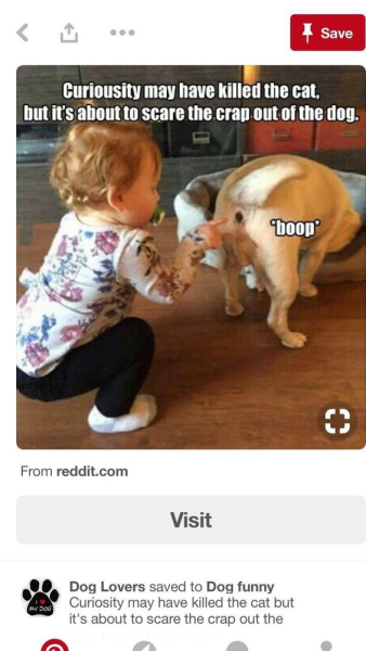 1707550874519.png