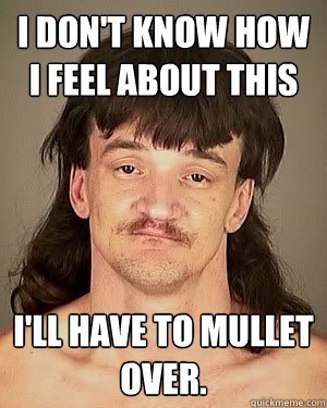 mullet.jpg