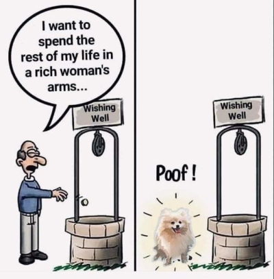 1708272342234.png