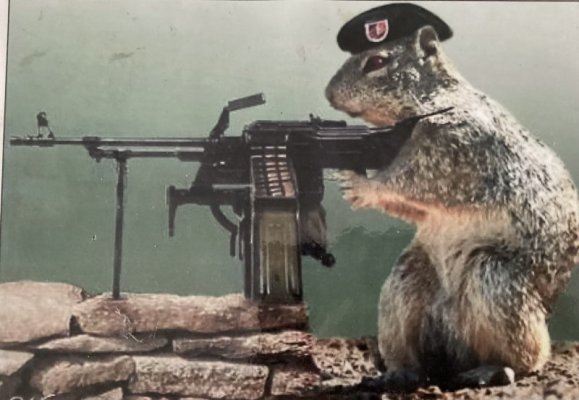 IMG_1269.jpeg IMG_1269.jpeg