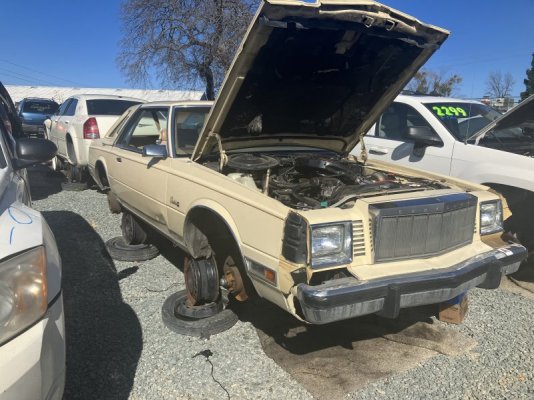 D5D09F6D-B71F-466D-AE9F-2A521CC0D1AD.jpeg D5D09F6D-B71F-466D-AE9F-2A521CC0D1AD.jpeg