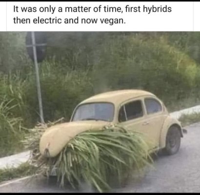 IMG_3629.jpeg