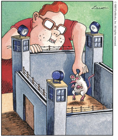 1709243686574.png 1709243686574.png