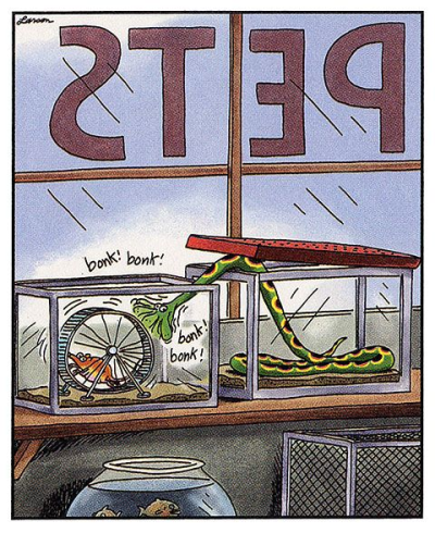 1709349795750.png 1709349795750.png