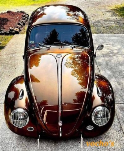 Root Beer Bug.jpg