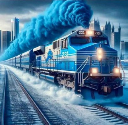 Lions Train.jpg